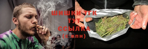 ПСИЛОЦИБИНОВЫЕ ГРИБЫ Гусев