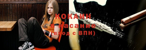 ПСИЛОЦИБИНОВЫЕ ГРИБЫ Гусев