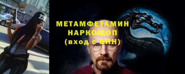 ПСИЛОЦИБИНОВЫЕ ГРИБЫ Гусев