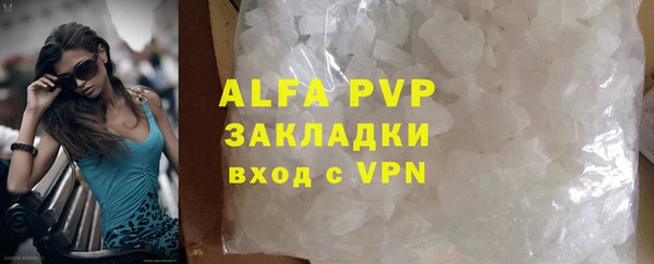 ПСИЛОЦИБИНОВЫЕ ГРИБЫ Гусев