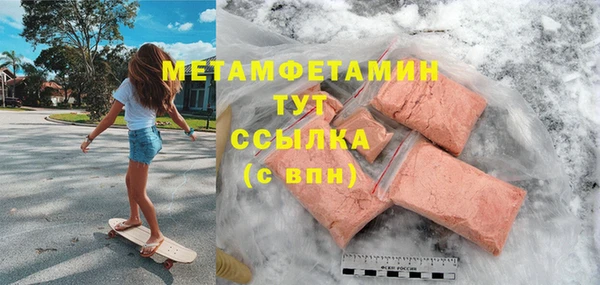 ПСИЛОЦИБИНОВЫЕ ГРИБЫ Гусев