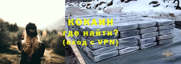 ПСИЛОЦИБИНОВЫЕ ГРИБЫ Гусев