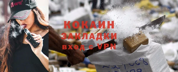 ешки Горняк