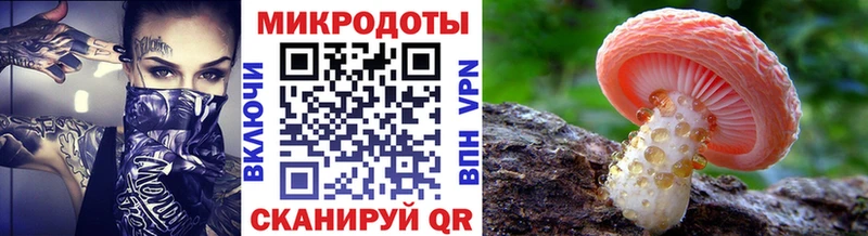 Купить  Заводоуковск  Псилоцибиновые грибы ЛСД 